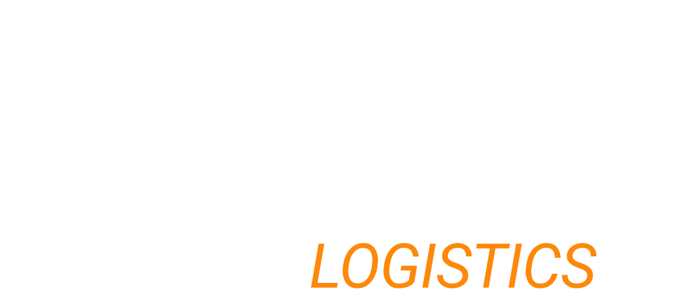 Логотип BIZ